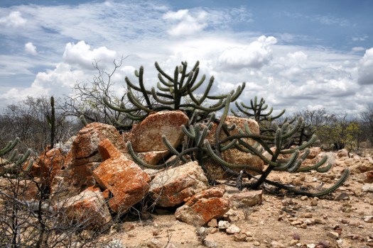 Foto: Márcio Vasconcelos