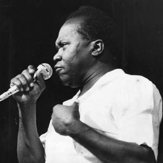 O compositor João do Vale - foto: reprodução